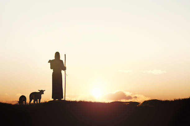 Jesus walking sheep